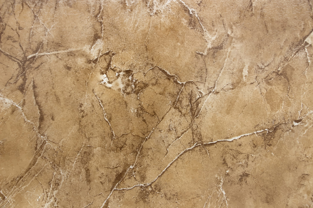 实现低成本、高附加值利用