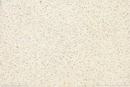 为该领域的建设奠定了基础